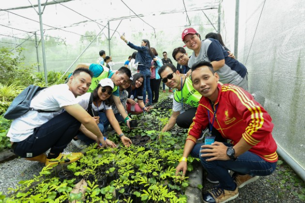 Tree Planting